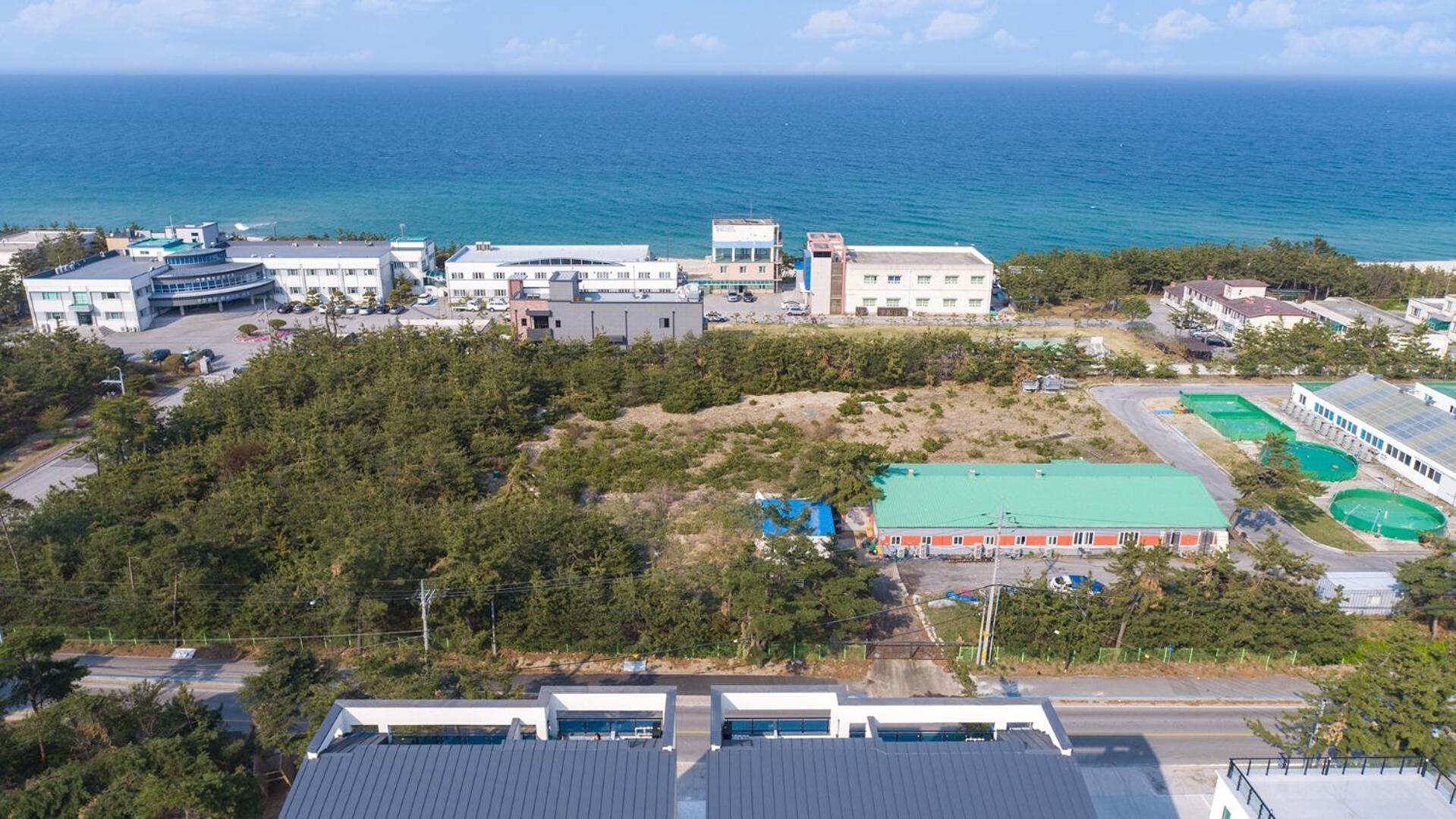 Gangneung Joeungot Poolvilla Dış mekan fotoğraf